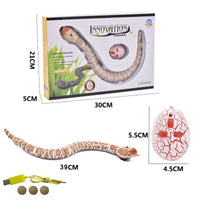 Remote Control Snake