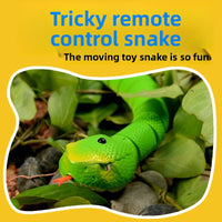 Remote Control Snake