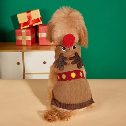 Christmas Pet Sweater
