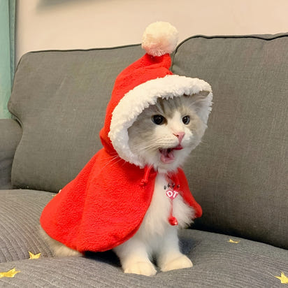 Pet Christmas Party Dog Cloak Pet Cat Hat Shawl suit