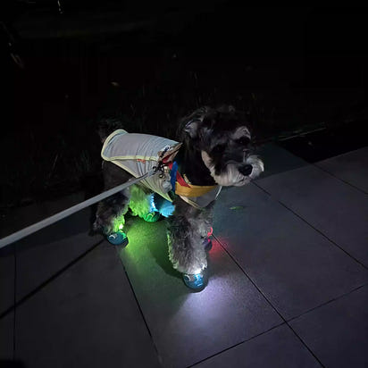 Pet Clogs with Anti-Slip Sole