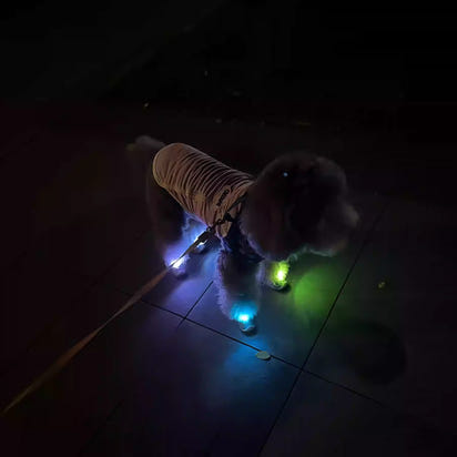 Pet Clogs with Anti-Slip Sole