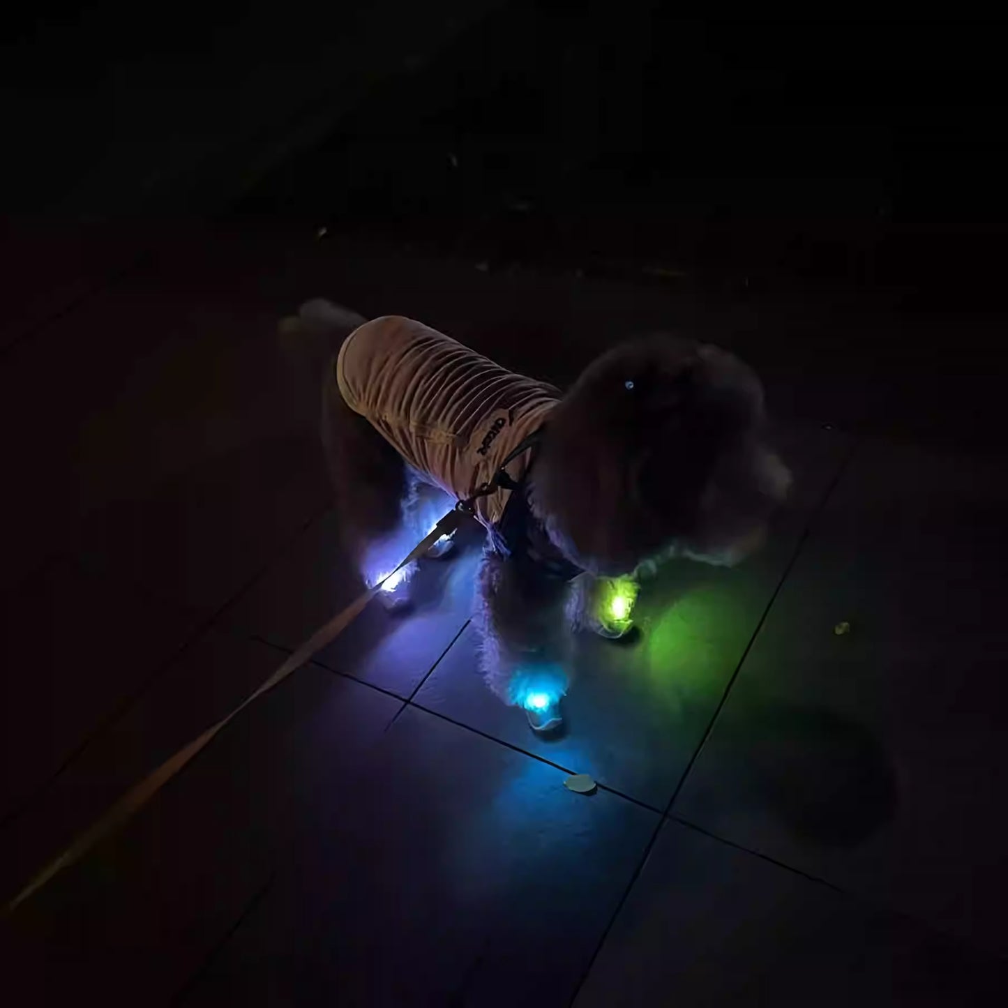 Pet Clogs with Anti-Slip Sole