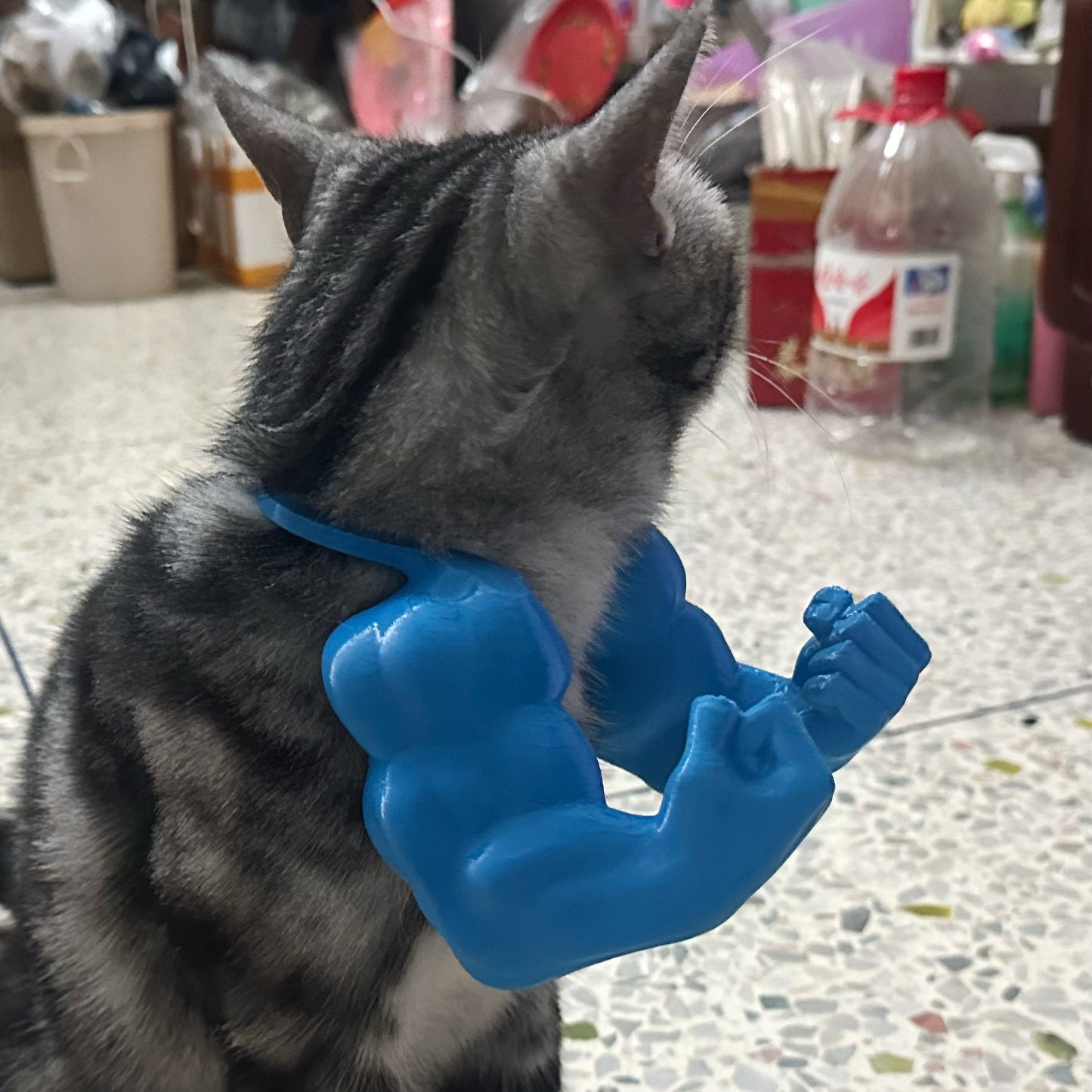 Hulk Giant Arm Pet Toy