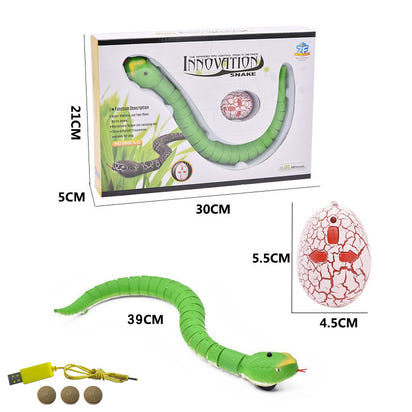 Remote Control Snake