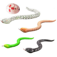 Remote Control Snake